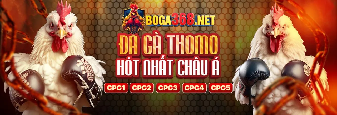Đá Gà Trực Tiếp Hấp Dẫn tại 33win9 Nổ Hũ
